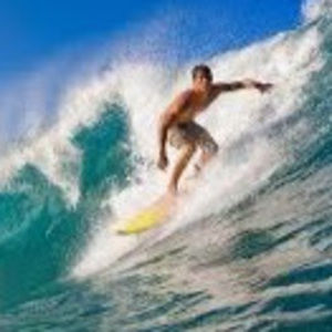 Meet your Posher, Nick